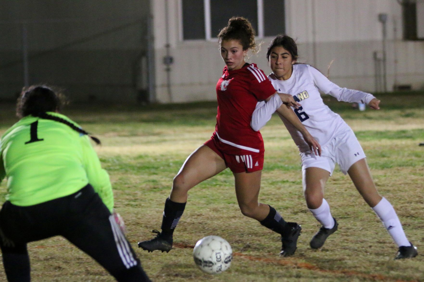 Bullpups coast in season opener against Tigers